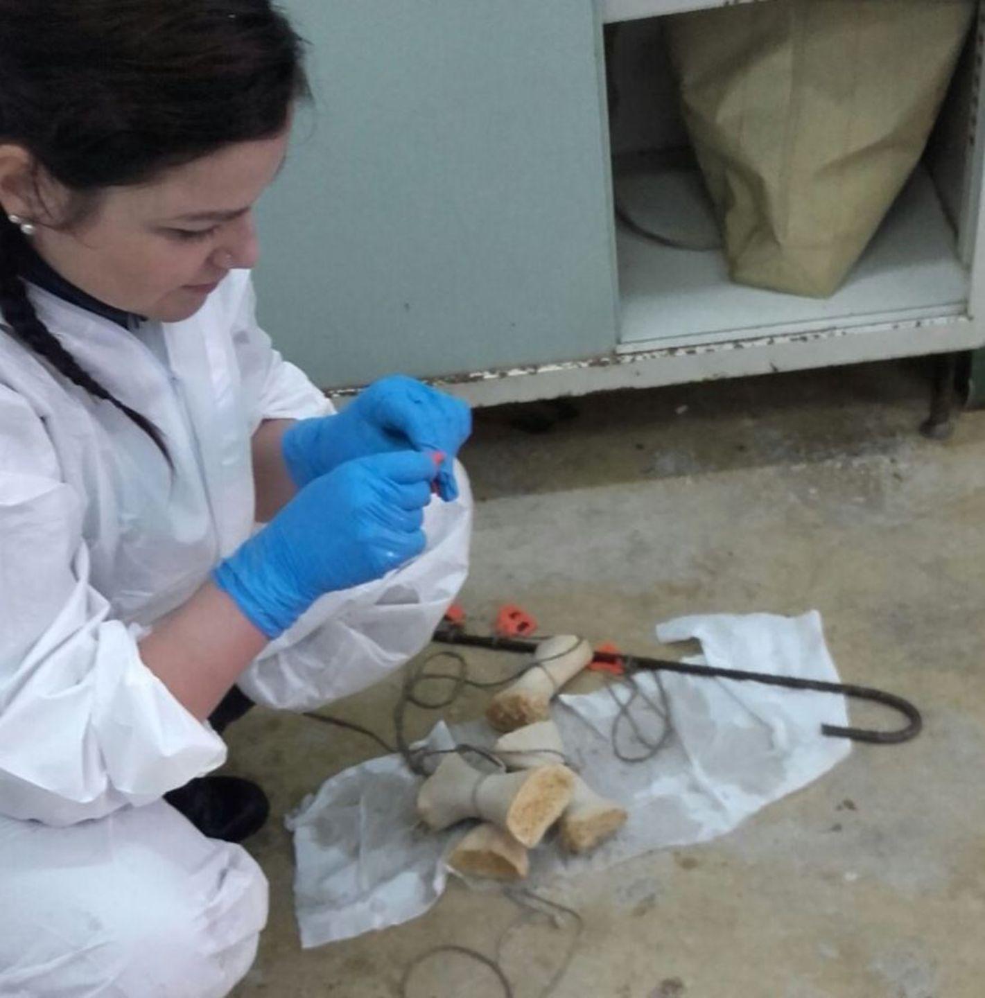 Moby in biblioteca ma la sala espositiva è inagibile da un anno 