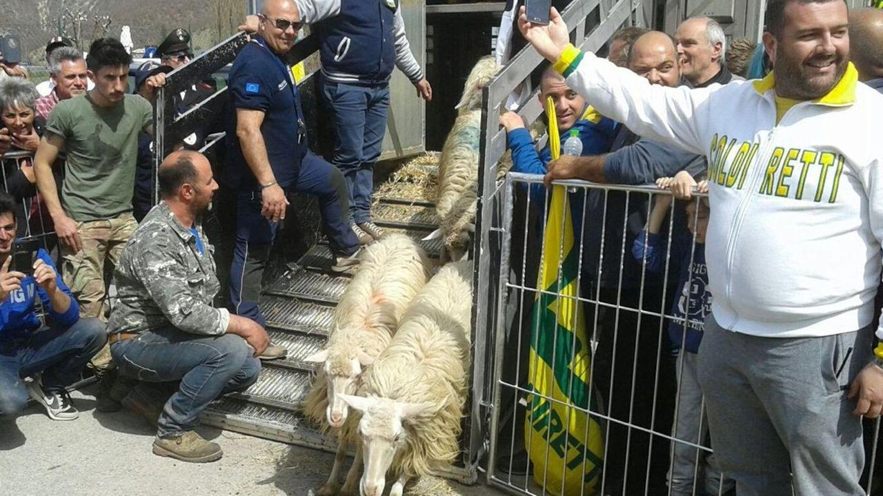Sa Paradura in Umbria premio per i pastori sardi