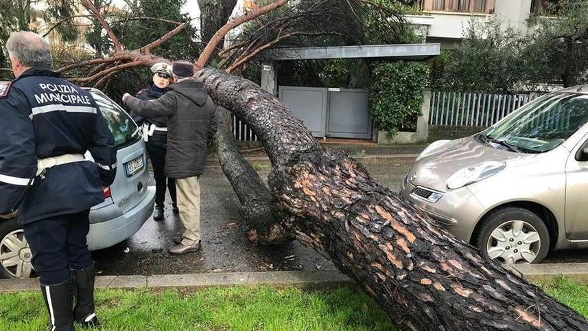 In via Nofretti è intervenuta anche la Polizia municipale (Foto da Facebook)