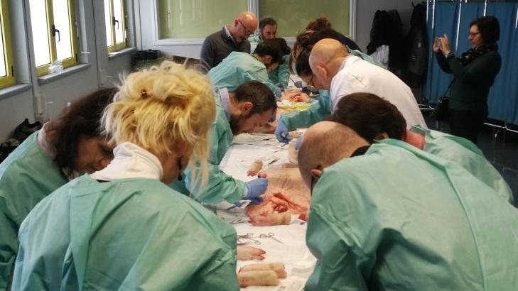 Medici a lezione di chirurgia all’ospedale