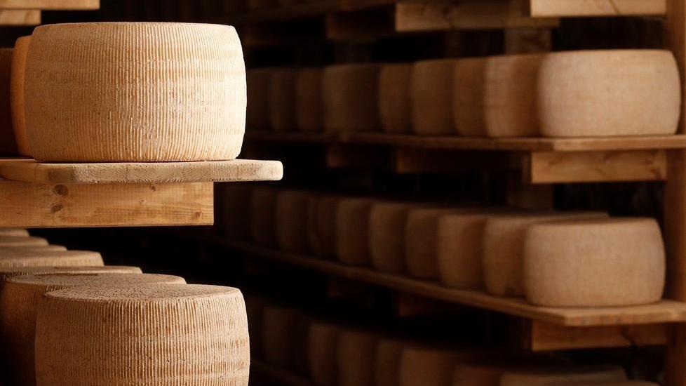 Il Fiorino alla conquista di Taste