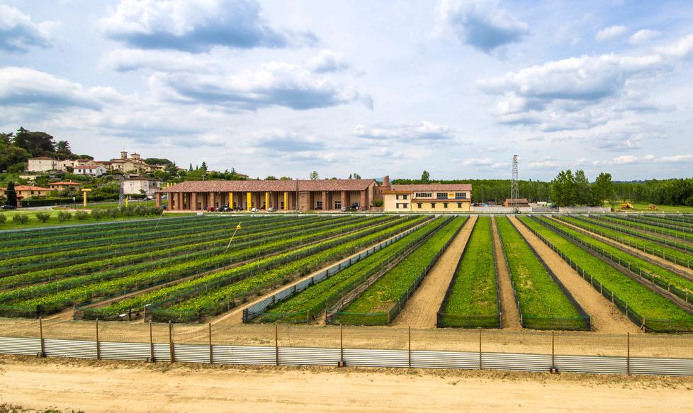 I sapori della Valdera saranno presenti al Pitti Taste 2018 