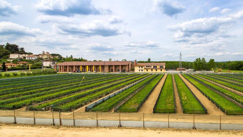 I sapori della Valdera saranno presenti al Pitti Taste 2018
