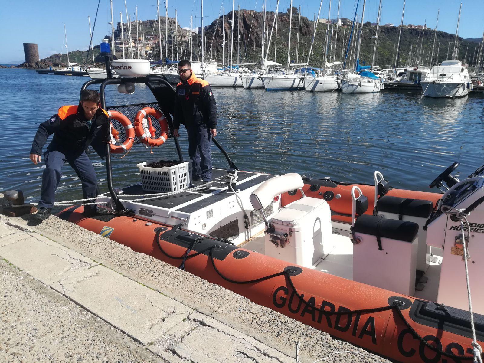 Castelsardo, subacquei abusivi sorpresi a pescare ricci: rigettati in mare 2.500 pezzi