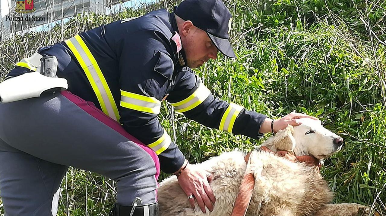 Il salvataggio di Lana da parte degli agenti della polstrada