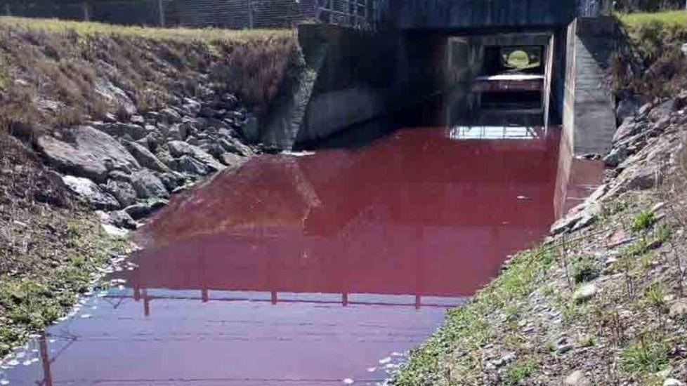 Canale agricolo rosso sangue, «un gravissimo caso di inquinamento»