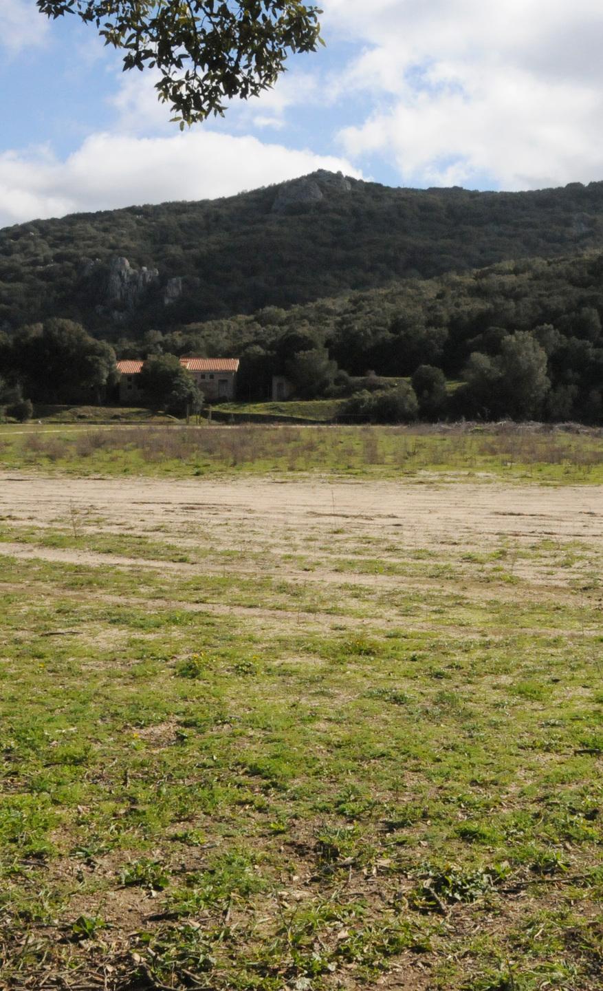 Solitudine e Farcana, bandi in corso 