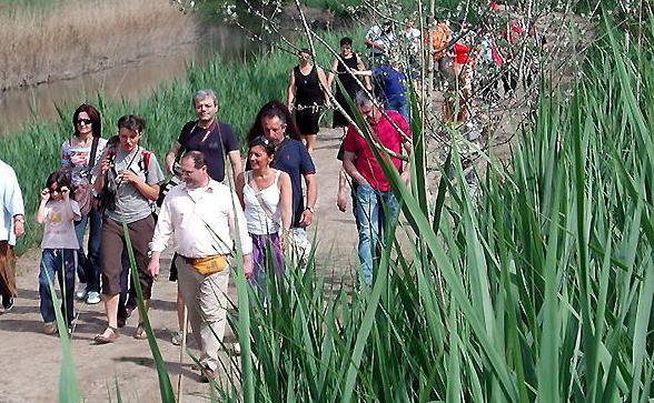 Visita guidata in Padule: è solo una delle centinaia di iniziative contenute in Open Week