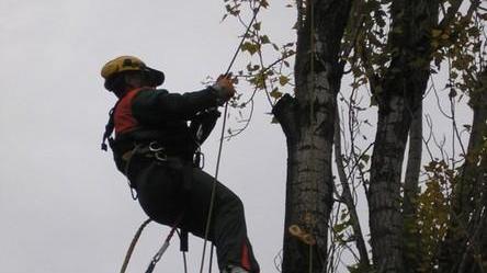 Domani lavori Enel tra Tizzana e Colle