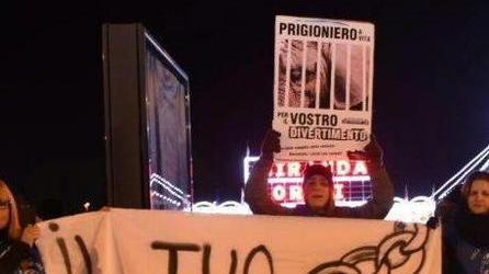 Lucca per l’ambiente «Siamo pronti a manifestare»