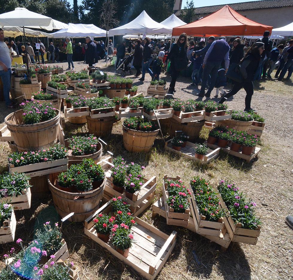 Il giardino di Milis scenario incantato per la fiera del verde 