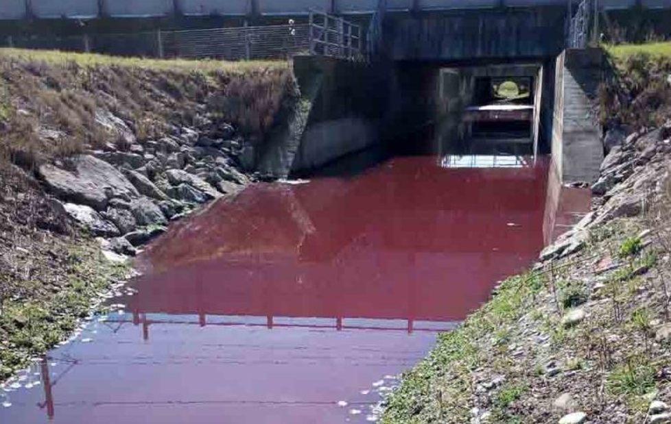 Reggio Emilia, presto una commissione sul canale rosso sangue 