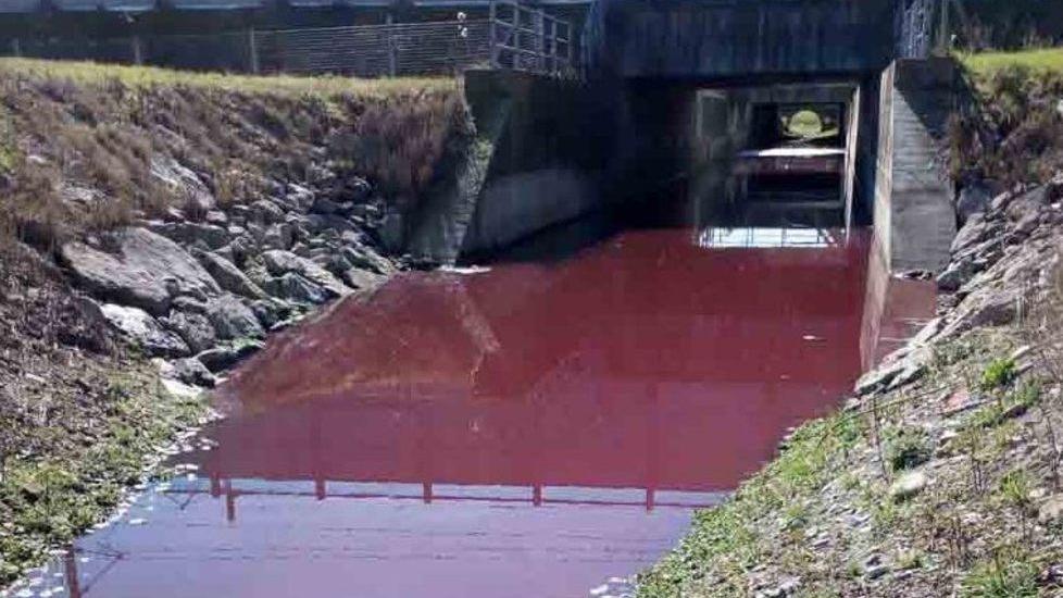 Reggio Emilia, presto una commissione sul canale rosso sangue