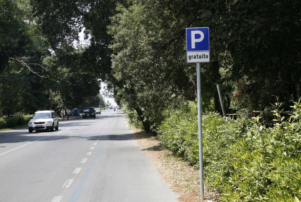 Tenta di rapinare automobilista: arrestata