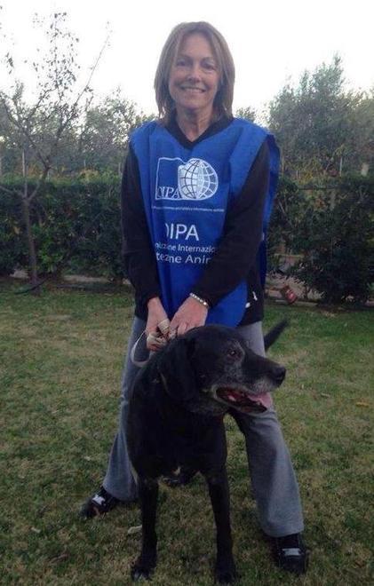 Rex, dieci anni legato a una catena 