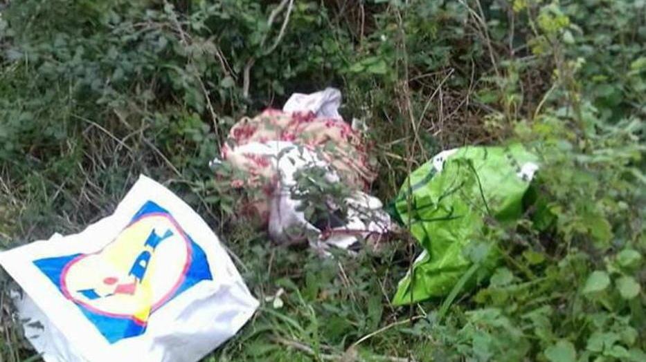 Cane trovato morto a Montenero avvolto in una coperta: aperta un’inchiesta e multato il padrone