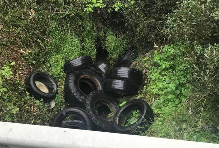 Pneumatici abbandonati La sindaca: pagano i cittadini