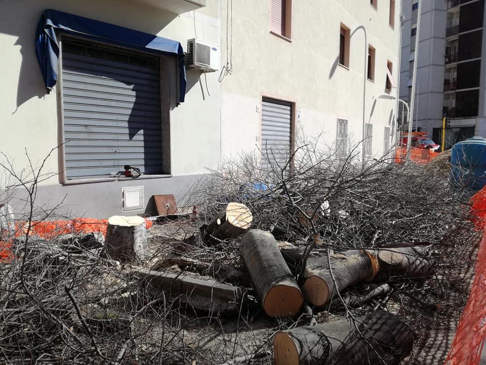 Gli alberi abbattuti in via Napoli