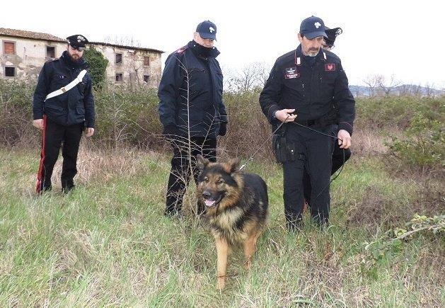 Il cane Batman