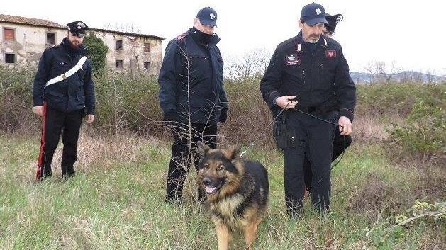 Il cane Batman