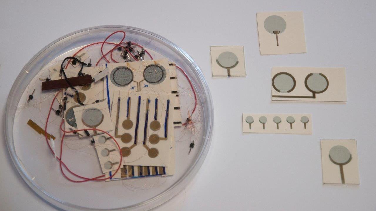 Elettrodo diventa un tatuaggio, la grande innovazione di un gruppo di ricerca toscano