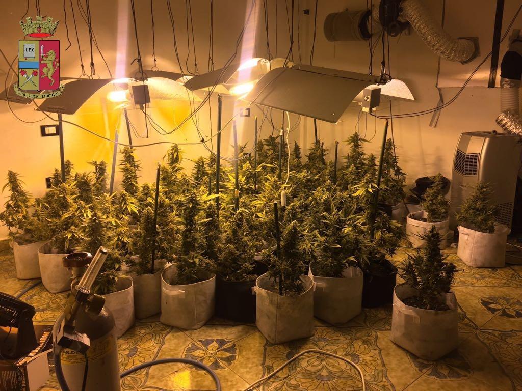 La serra adibita alla coltivazione di marijuana a Quartu
