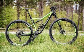 Una mountain bike come quella rubata