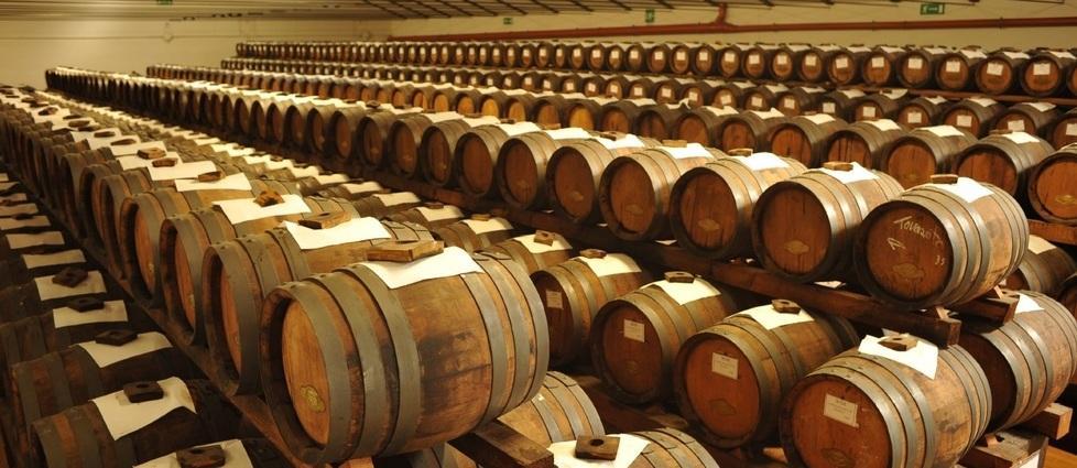 «Balsamico, ecco le differenze fra l’Igp e il tradizionale Dop» 