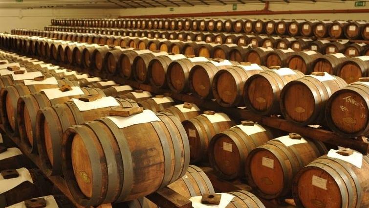«Balsamico, ecco le differenze fra l’Igp e il tradizionale Dop»