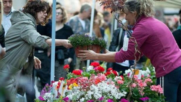 Il centro per due giorni si trasforma in giardino In mostra fiori e piante