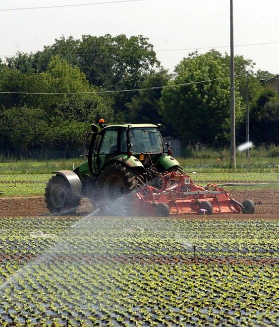 Farmaremma per lo sviluppo dell’agricoltura