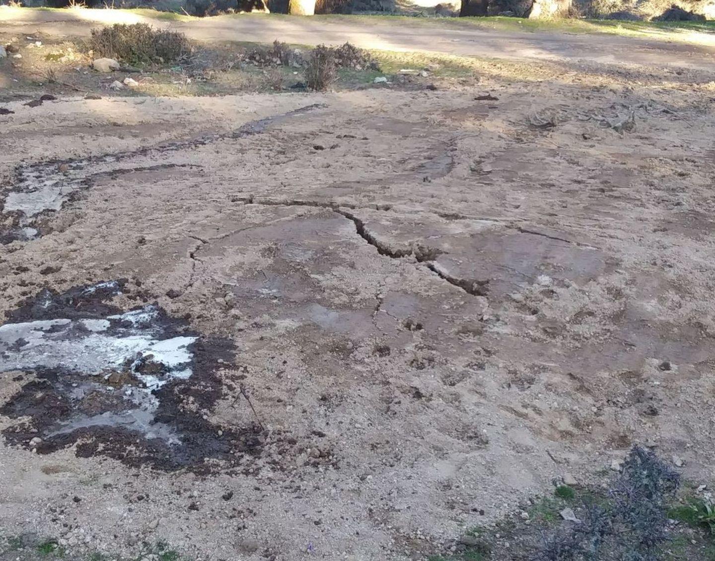 Maiali interrati a Montes si teme l’inquinamento 