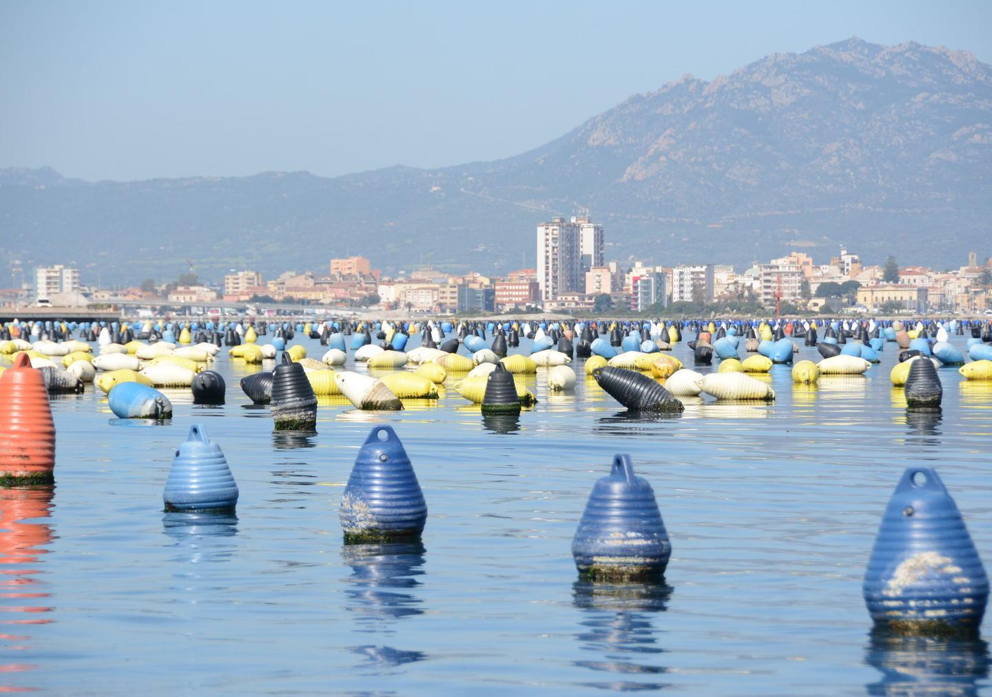 Acquacoltura e pesca con i nuovi canoni sarà una rivoluzione 