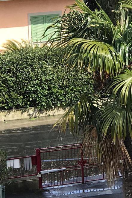 La strada diventa un fiume in piena per un tombino 