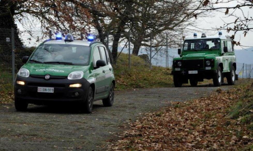 Maltrattamento di animali: denunciato 