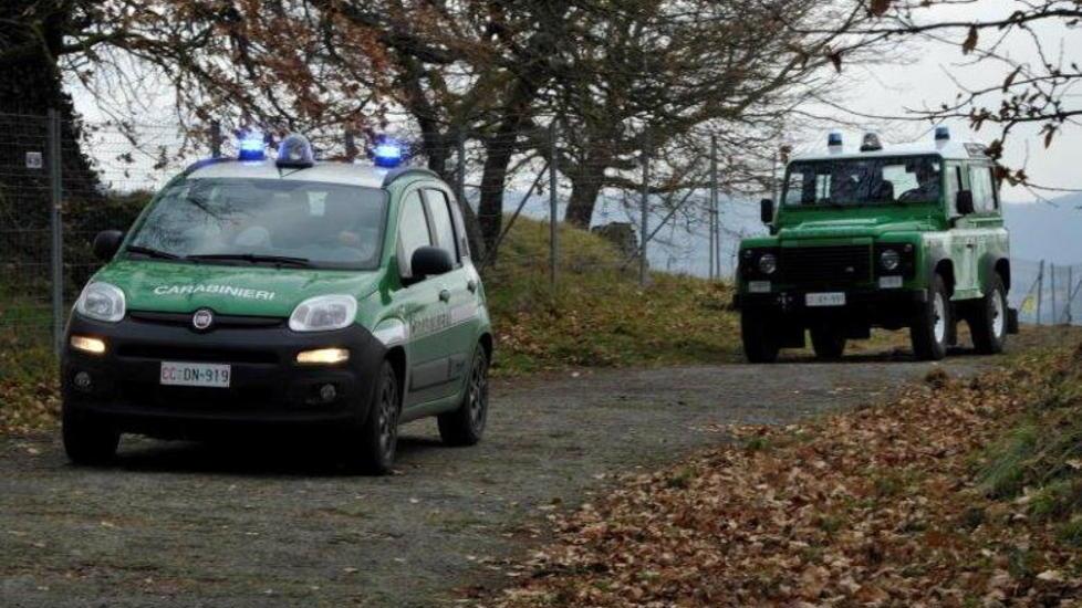 Maltrattamento di animali: denunciato