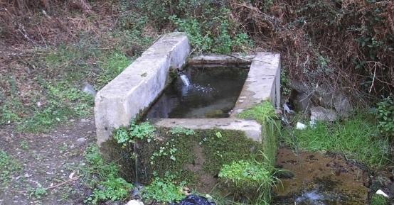 Allevatori ovini a lezione per migliorare le competenze