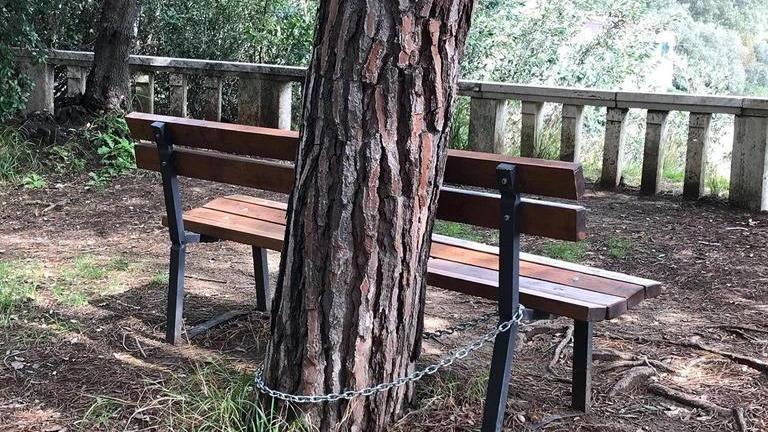 Balaustre fatte a pezzi la pineta regno dei vandali