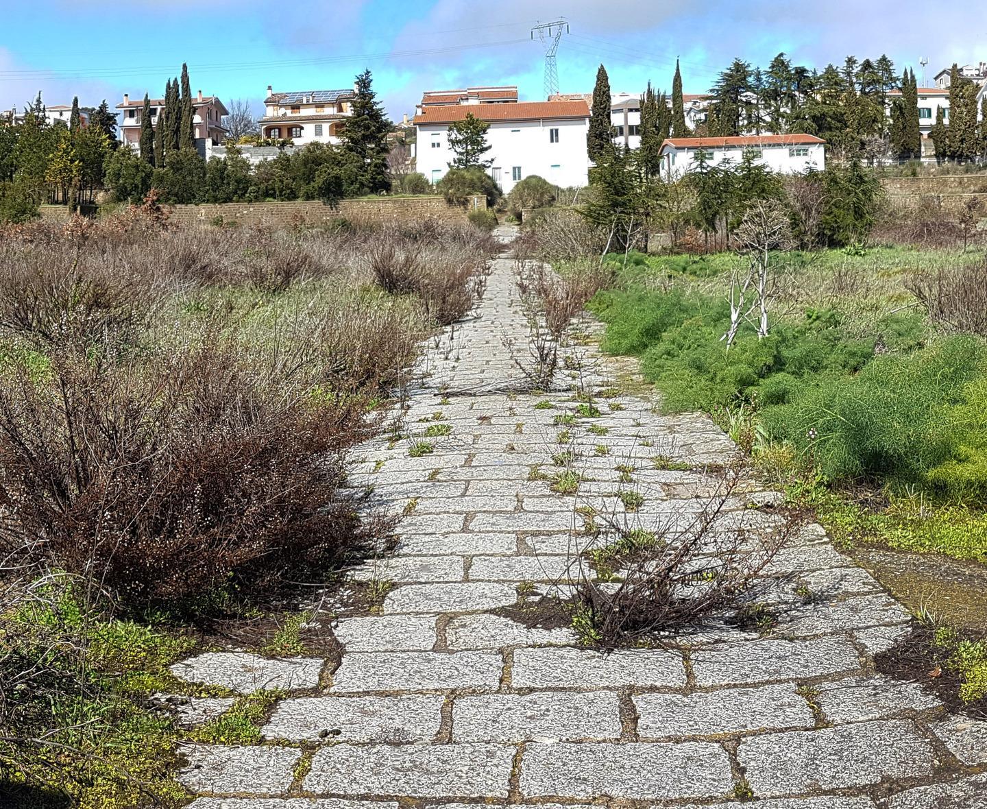 «Buste paga in ritardo all’Agenzia Forestas» 