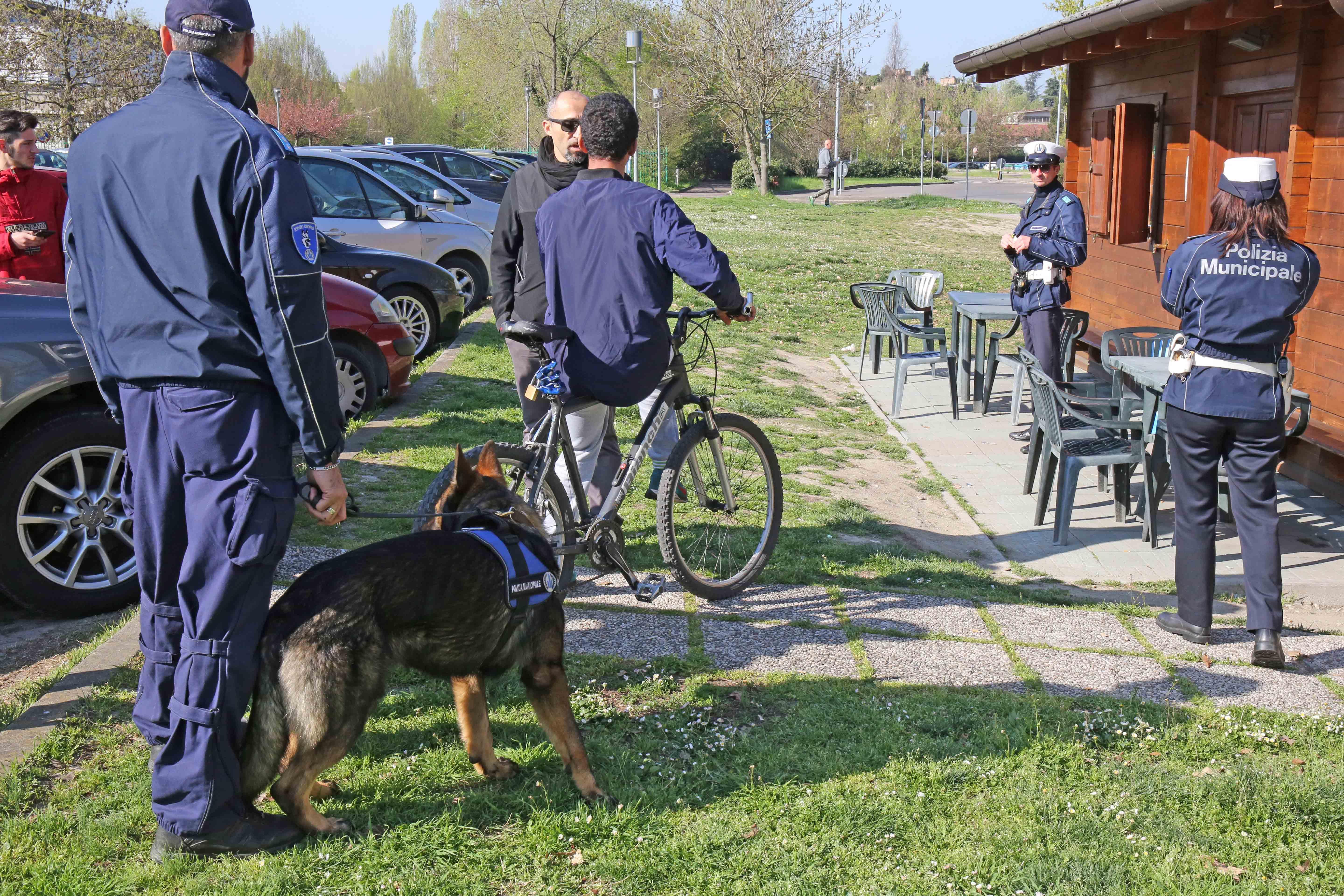 Un controllo della polizia municipale nei parchi