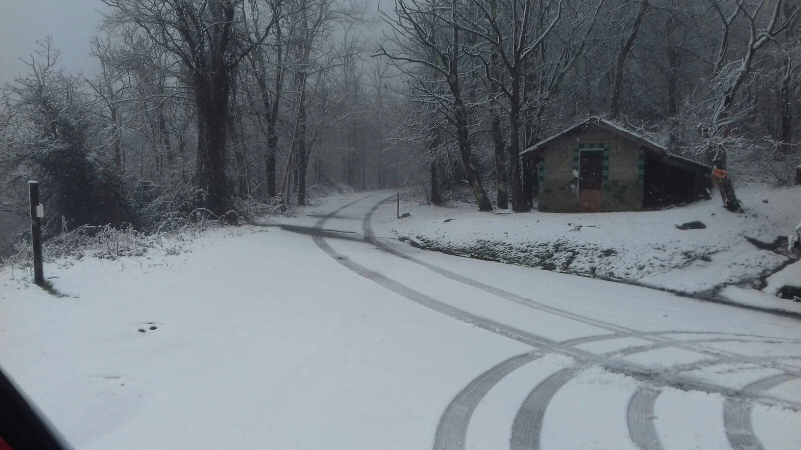 La neve che ha imbiancato il Monte Serra 
