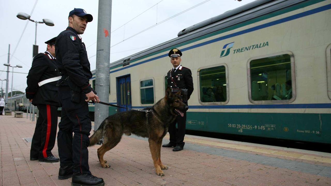 Operazione antidroga dei carabinieri a Pescia (Foto d'archivio)