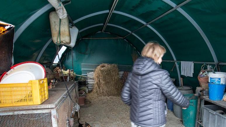Modena, rubano l’intero pollaio, comprese le uova