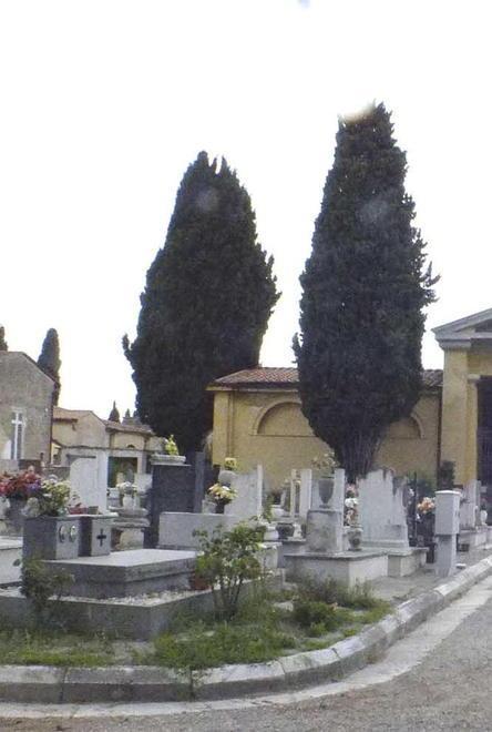 Un tour tra le tombe tra arte e storia