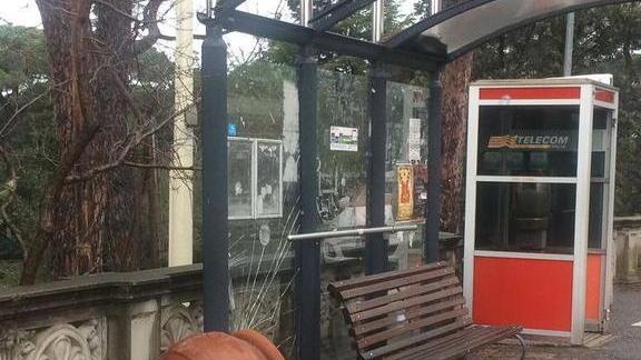 Vandali in azione alberi abbattuti e vasi gettati a terra