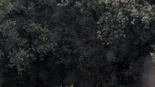 Messaggio gigante sulle Mura «Diana, torna a fidarti di me»