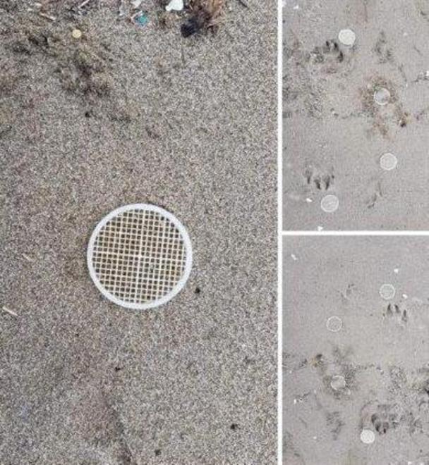Dischetti in spiaggia, esposto in Procura 