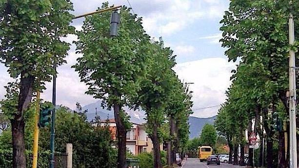 Scoperto il vero tracciato dell’antica via della Marina