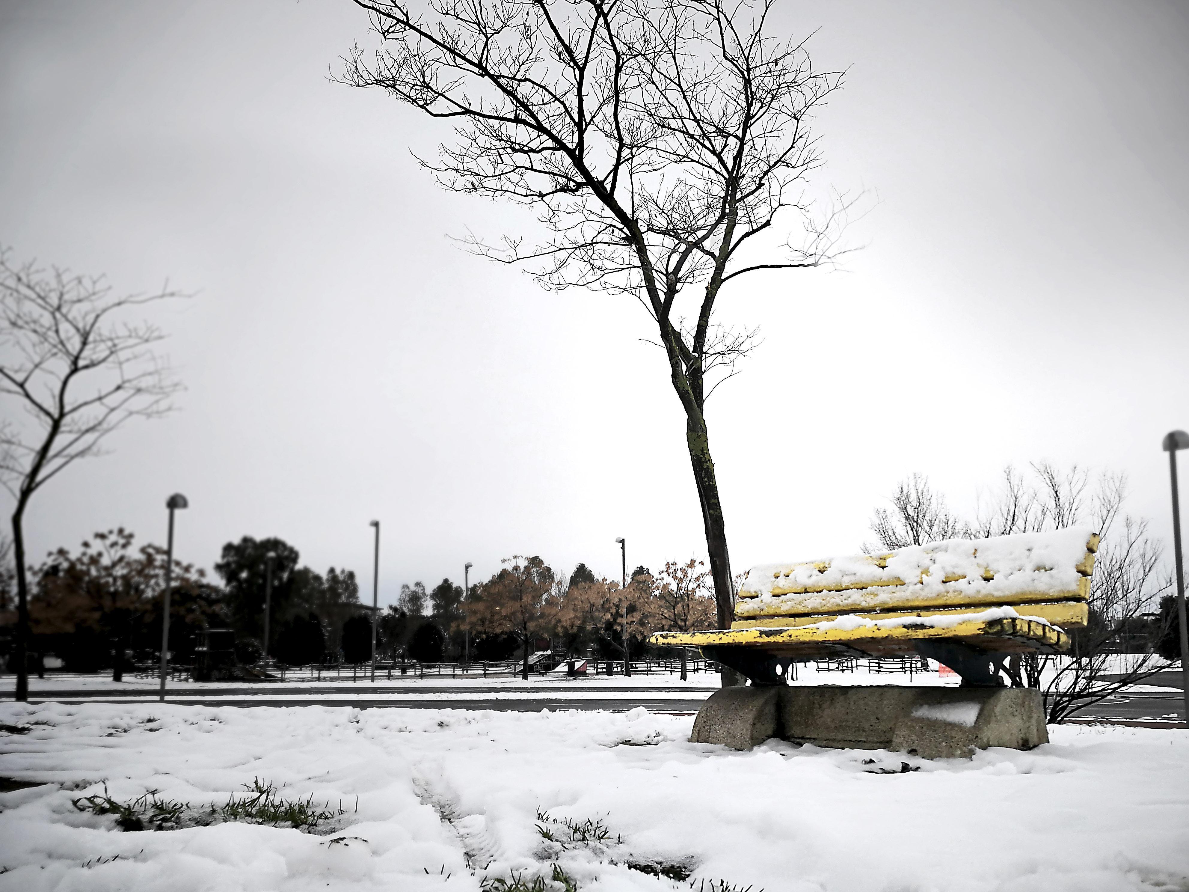Neve di marzo a Grosseto 