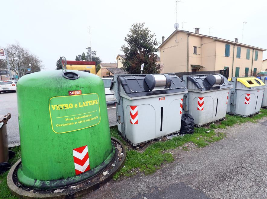 Troppi rifiuti abbandonati, i topi la fanno da padrone 